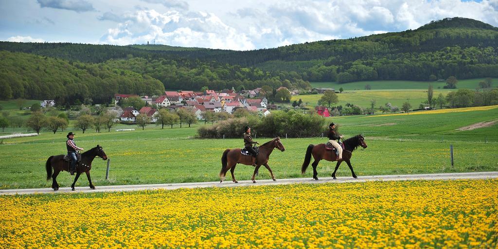 Landhotel Zur Gruenen Kutte Bernshausen Luaran gambar